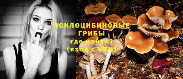 мдпв Семилуки