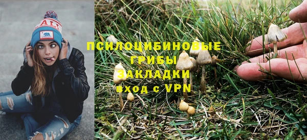 a pvp Алзамай