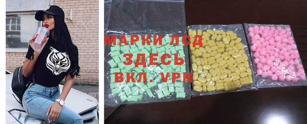 СК Алексин