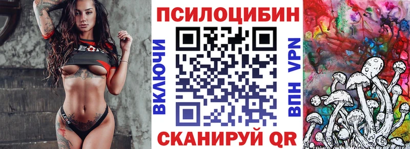 дарнет шоп  Волхов  Галлюциногенные грибы прущие грибы 
