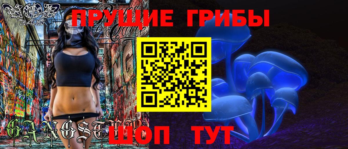 Псилоцибиновые грибы MAGIC MUSHROOMS  Вход с VPN  Волхов 