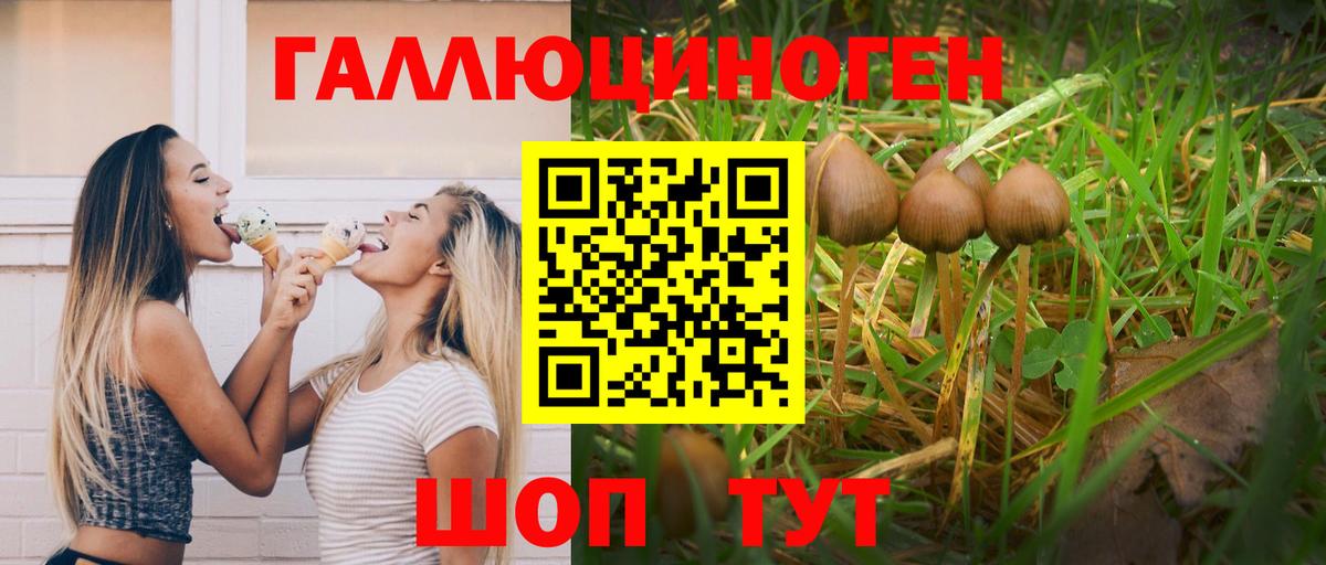 Псилоцибиновые грибы мицелий Волхов